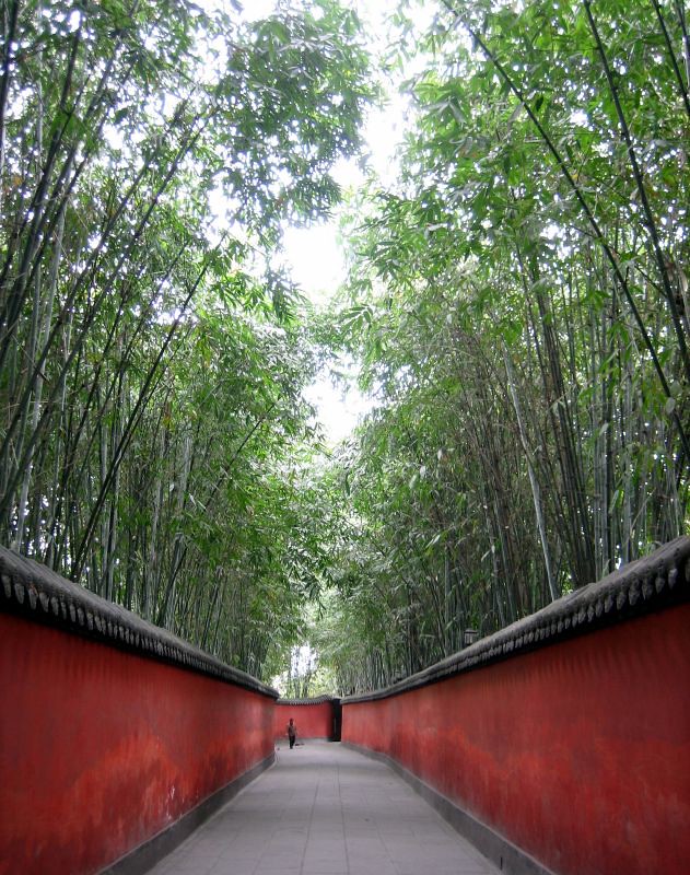 武侯祠红墙夹道，翠竹掩映